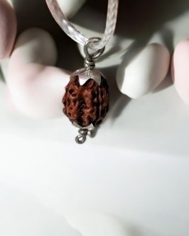 4 Mukhi Rudraksh Indonesia In Silver Pendant
