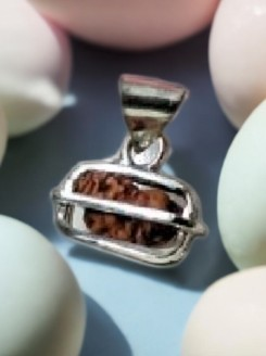 1 Mukhi Rudraksha Bead Indonesia 10.98 Mm Size In Silver Pendant